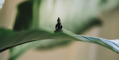 Statue on a leaf