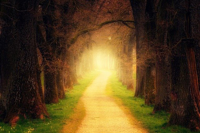 Path into light